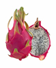 Pitahaya, eksotisk frugt
